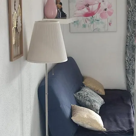Apartment T2 Coquet Proche Plages, Port Et Centre Golfe-Juan
