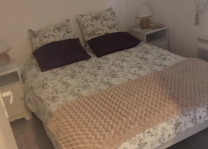Apartment T2 Coquet Proche Plages, Port Et Centre